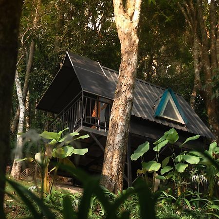 Garden Of Eden-Thottam Munnar-Hiking And Camping Anachal Экстерьер фото