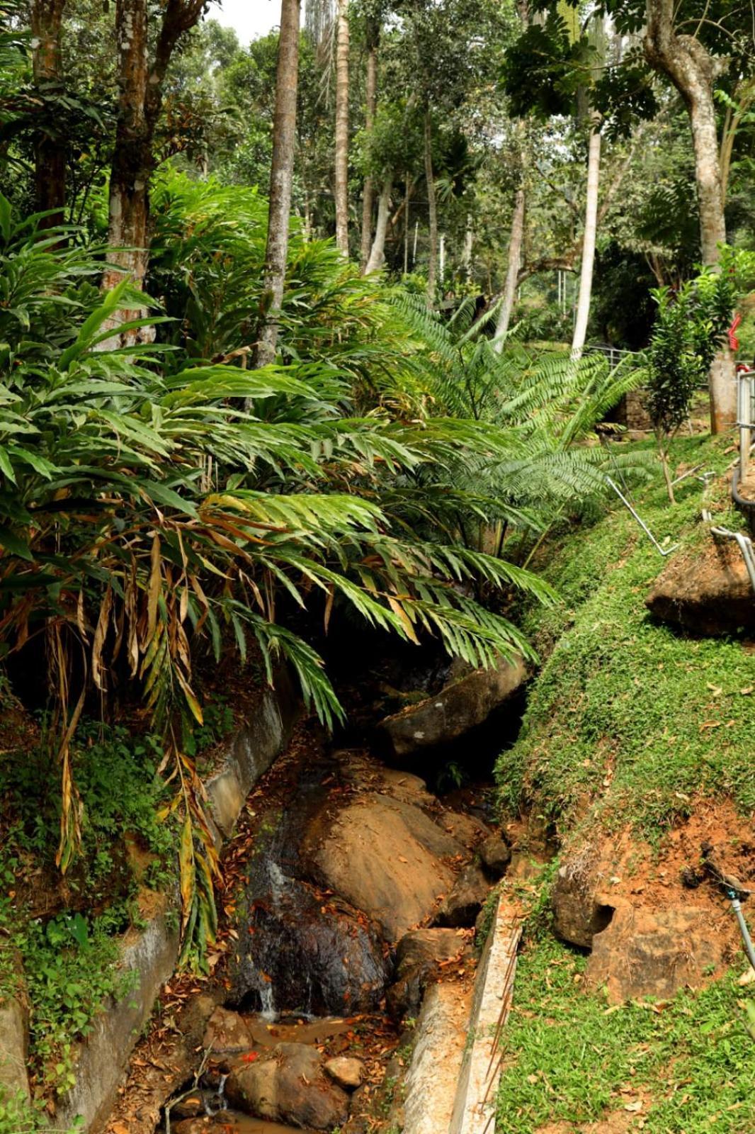 Garden Of Eden-Thottam Munnar-Hiking And Camping Anachal Экстерьер фото