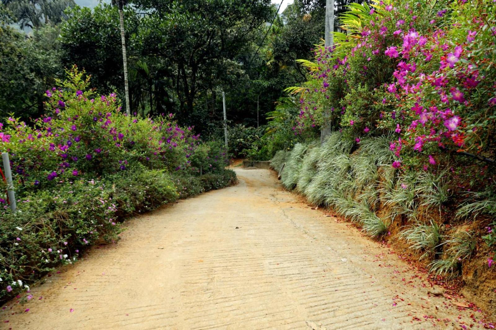 Garden Of Eden-Thottam Munnar-Hiking And Camping Anachal Экстерьер фото